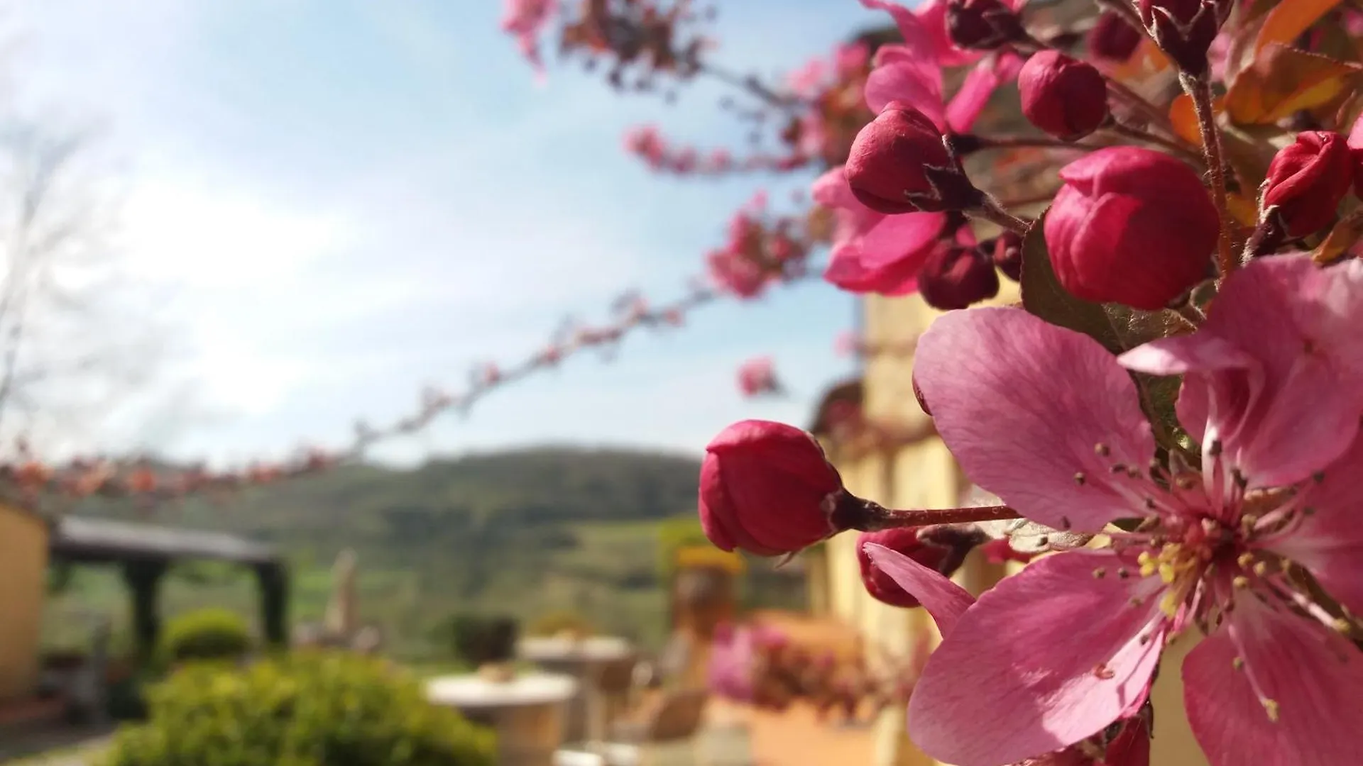 Farmház Relais Poggio Borgoni Villa San Casciano in Val di Pesa